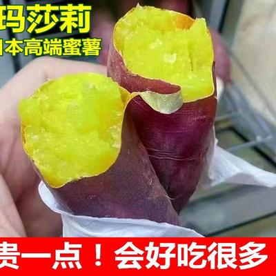 玛莎莉红薯新鲜日本引种鸣门金时莎丽软糯超甜黄心壤番薯地瓜蜜薯