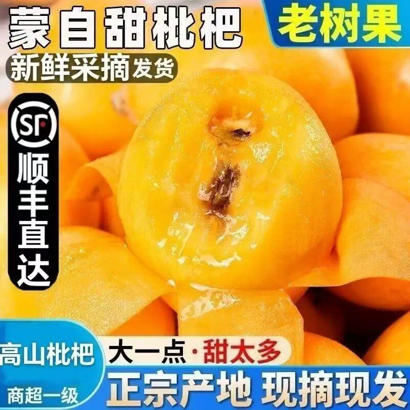 当季鲜果云南蒙自枇杷新鲜大果顺丰现摘现发皮薄多汁孕妇琵琶水果