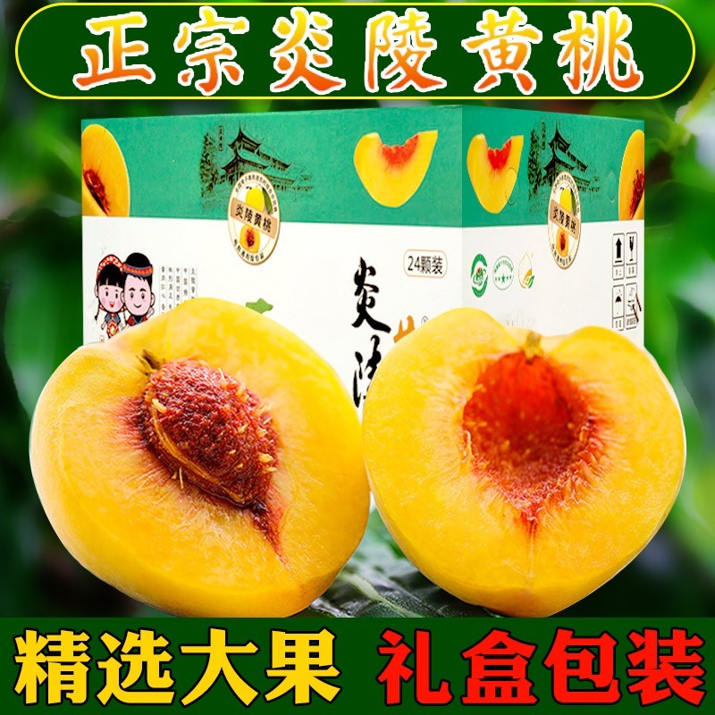 黄桃炎陵黄桃正宗湖南特产现摘现发新鲜水果10斤礼盒装顺丰