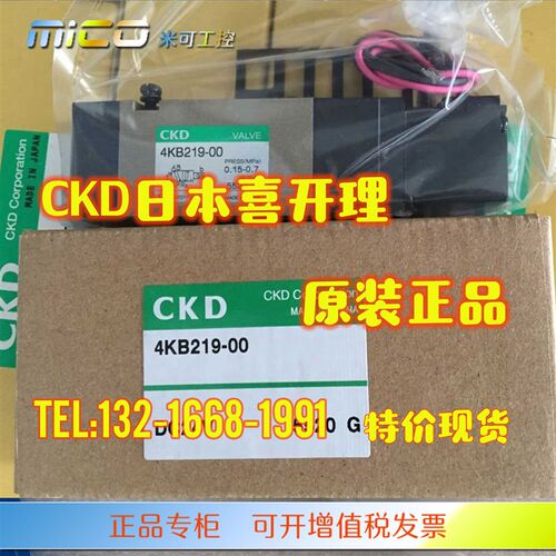 CKD电磁阀4KB219/4KB2p29/119/210/220-00-06/08/B/L/LB/LS DC24V