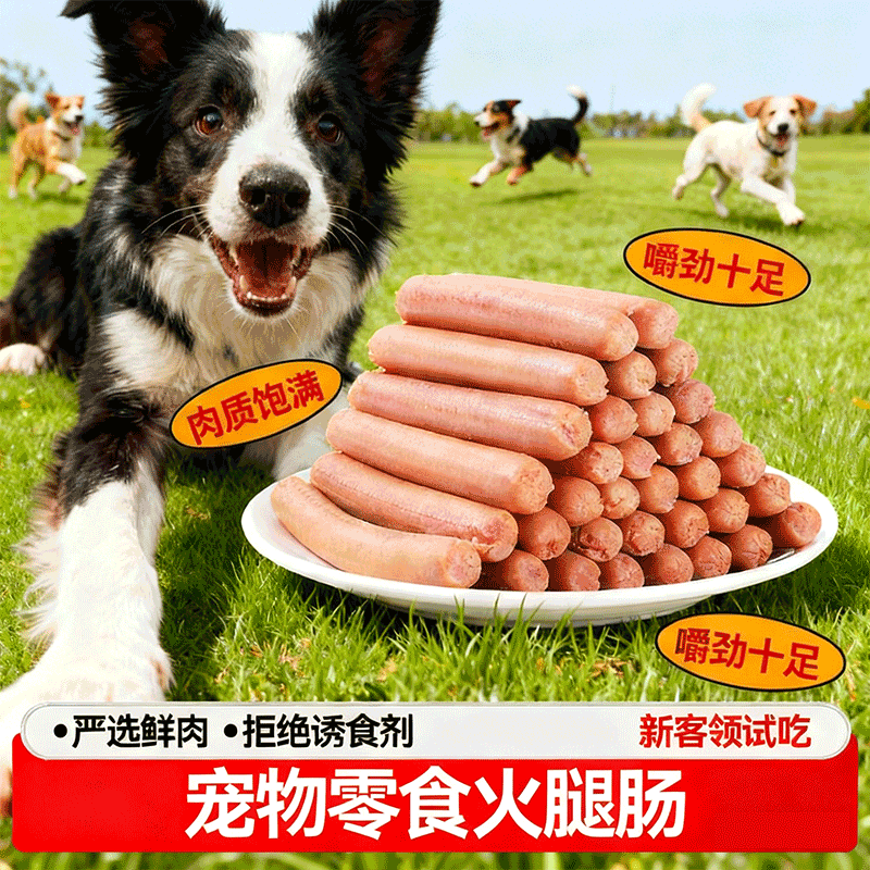 【百万用户力荐】宠物多肉火腿肠