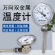 481轴N向径向万向型管道温度表 401 双金属温度计工业用WSS 411
