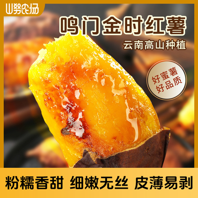 鸣门金时红薯云南高山沙地烤红薯