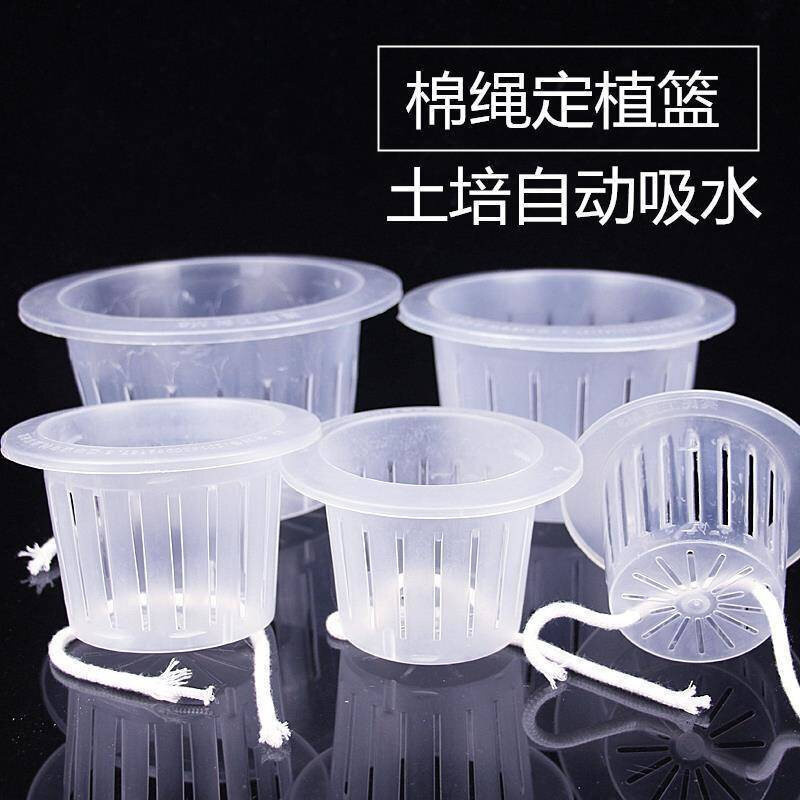 水培花盆内篮塑料水养植物控根定植篮种植篮绿萝吊兰器皿圆形