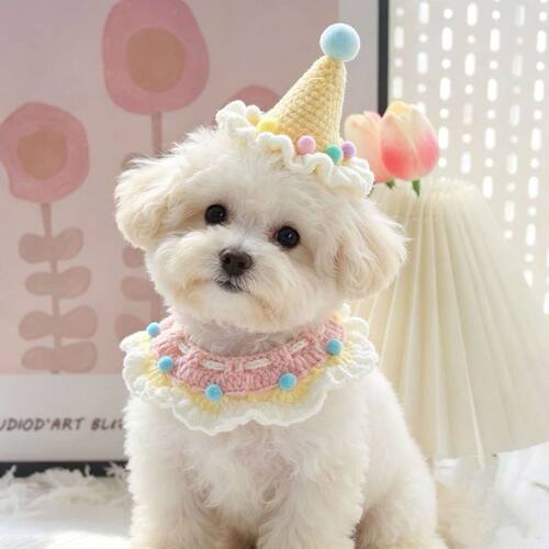 手工钩织宠物生日帽猫咪周岁装扮狗狗衣服可爱气氛口水巾