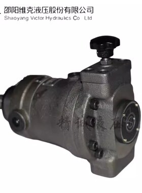 SY-80SCY14-j1EL/ELD/E/ELF邵阳维克80SCY14-1B/X/1BF轴向柱塞油