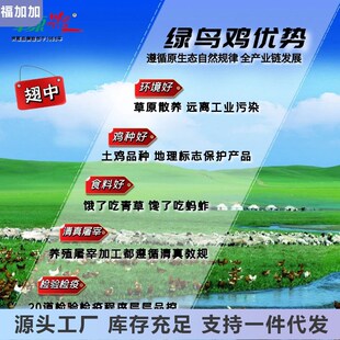 草原兴发翅中散养绿鸟鸡翅1kg冷冻D土鸡翅清真烤T翅2包赠奥尔良料