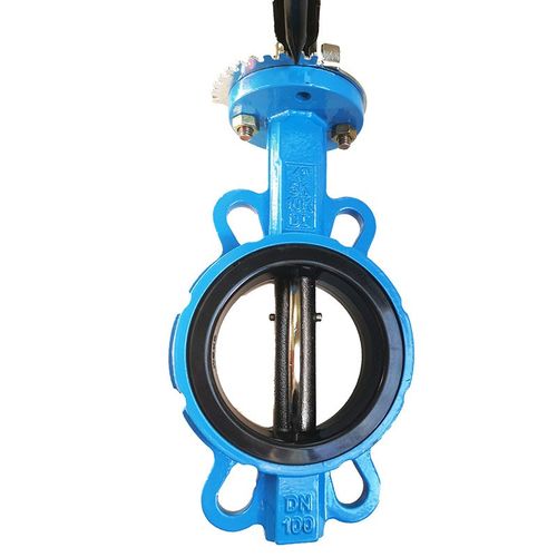 手动蜗轮衬氟蝶阀热水进水对夹蝶阀 ID71X-16Q津阀阀门