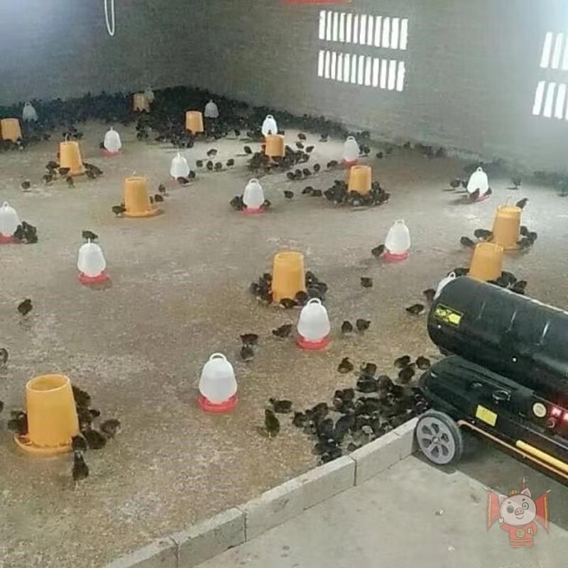 养殖厂暖风机采油取暖器花棚加热房育雏保温设备大棚加Y温燃养猪,农机/农具/农膜,农用暖风机/恒温机,淘宝优惠券,粉丝福利购,淘宝优惠卷