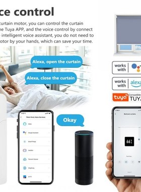 Tuya WiFi TM61l6EGWT Intelligent Pull Bead Curtain Motor Rem