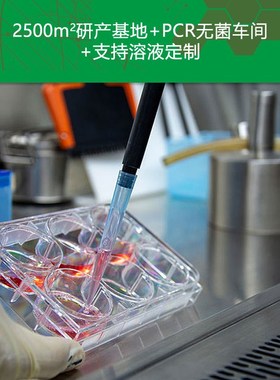 1IP Wash Buffer洗涤液 (含150 mM NaCl) 100VmL 免疫沉淀实验