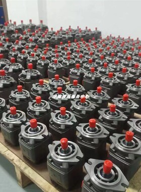 替代海特克齿轮泵FG1/FG0/FG2-80/12G5-01R-VPC内啮合液压伺服油