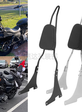 适於哈雷 XL883/1200 X48 04-23年 改装尖弓後S靠背 後货架 高质