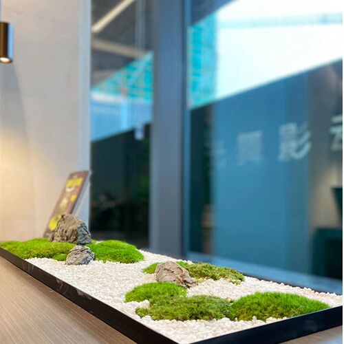 热销绿植装饰桌面摆件办公桌x会议室长桌微景观客饭厅苔藓造景定