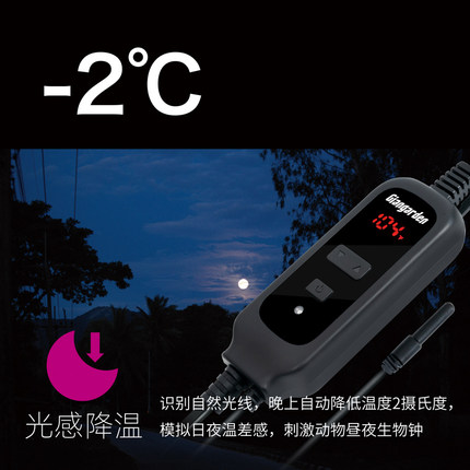 热销巨人爬宠变频智能温控器陆龟C守宫爬宠饲养箱陶瓷灯加热垫温
