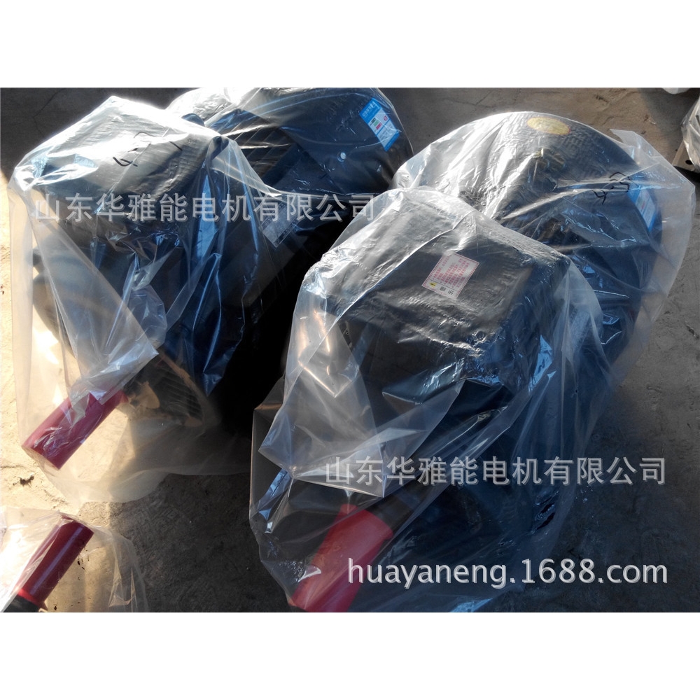 无风扇罩自然风冷YBZS355L1-4-280电机冷却方式IC410闷盖YBZ电机