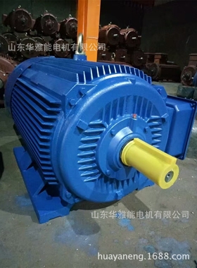 YXL-315S-10-45电机出厂试验报告1AL大功率电机我自由自在的呼吸