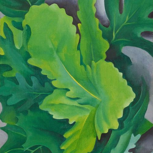 欧姬芙奥基夫油画Georgia OKeeffe现代绿色橡树U叶装饰画手绘复