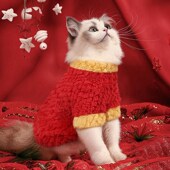 猫咪衣服秋冬款 保暖布偶防掉毛宠物加绒新L年喜庆蓝猫银渐层拜年