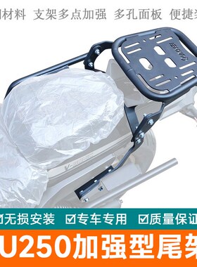 适用隆鑫无极CU250尾架u后货架加强尾翼尾箱架伸缩后靠背扶手改装