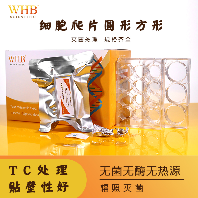 无菌TC贴壁处理多聚赖氨酸爬片