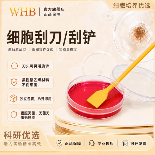一次性独立包装细胞刮刀铲已灭菌