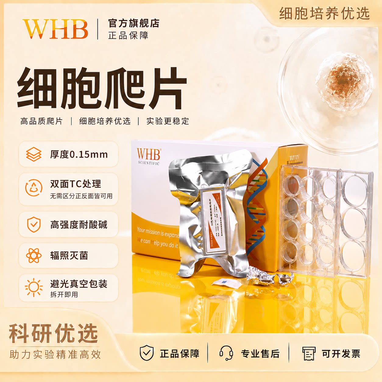 无菌TC贴壁处理多聚赖氨酸爬片