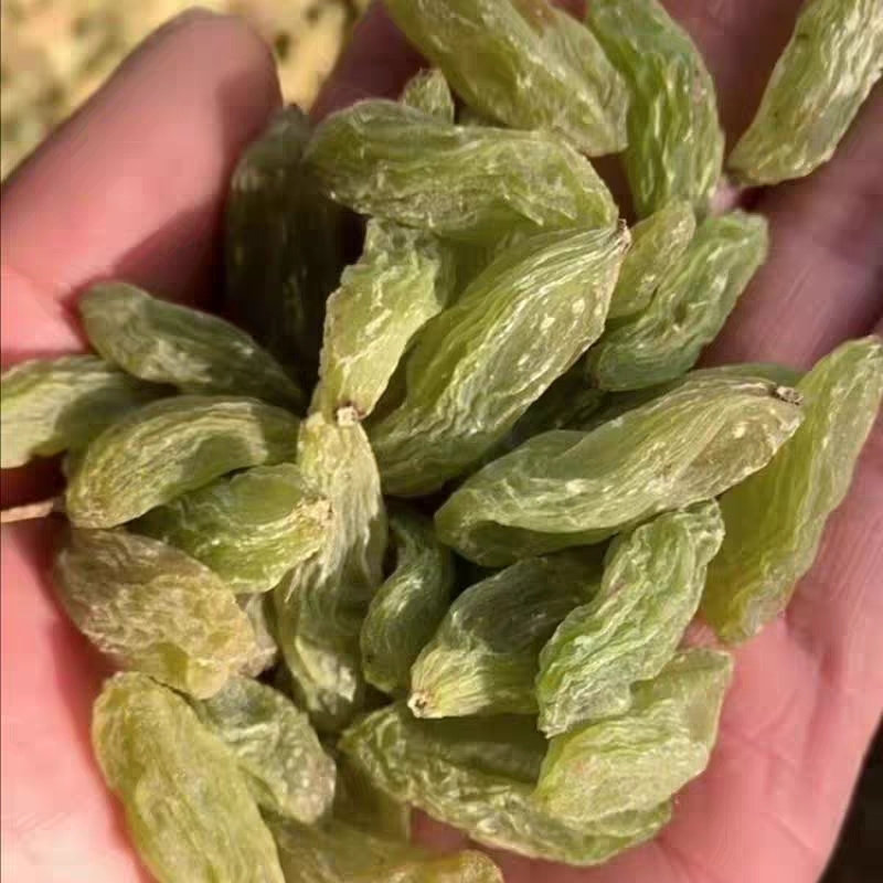 新货正宗新疆吐鲁番超大绿香妃葡萄干无籽香妃王颗粒免洗零食