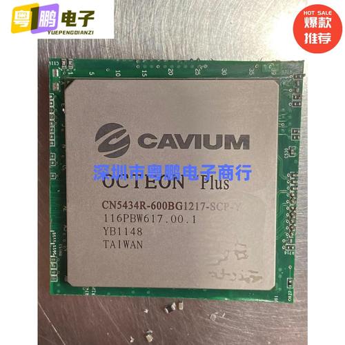 网络处理器 CM5434R-600BG1217-SCP-Y 多核通信处理器 CN5434R