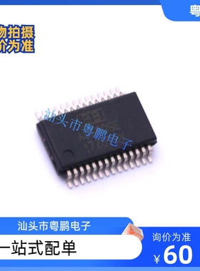 ADS805E 芯片 ADS805 TI/BB SSOP28 模数转换器 全新原装现货