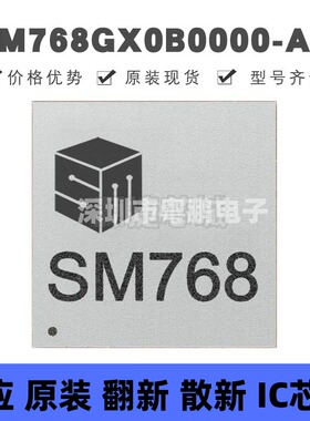 SM768GX0B0000-AB BGA-300 处理器芯片IC 集成电路 全新原装正品