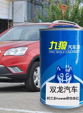 九狼汽车漆双成品龙漆喷烤柯兰多C雷斯特魅影银银色维他命红太空
