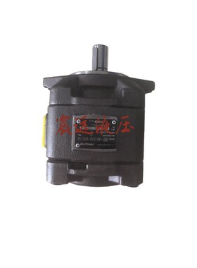 液压油泵柱塞泵  内啮合齿轮泵HG0-13F-01R-VPC 注塑机伺服油泵