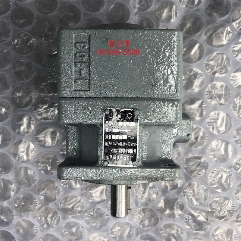 仙居新顶定量双联叶片泵现货YB1-10/z6 YB1-63/25 YB1-100/25