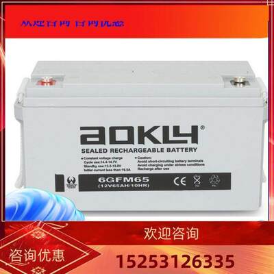 AOKLY奥克莱蓄电池6GFM100/12V100AH直流屏UPS/EPS专用12v80ah