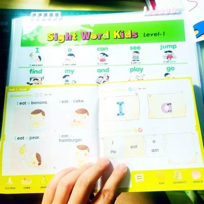 英语启蒙早教手工高频词SightWord挂图学习卡册成品儿童幼儿教具