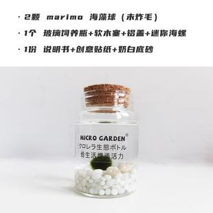 海藻球生态瓶marimo微景观桌面宠物迷你植物水养水培趣味节日礼物