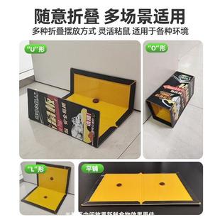 老鼠贴强力粘鼠板胶粘大老鼠超强家用捉灭鼠捕鼠神器202新款