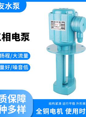 三相电泵DB-12/40WAB-25/90W120W125W150W250W450W500W