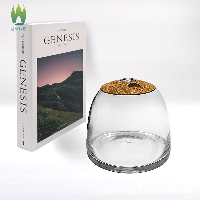植物城堡S苔藓微景观玻璃瓶带盖