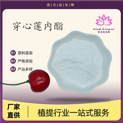 穿心莲内酯98% 穿心莲乙素 雄茸内酯 5508-58-7 厂家直供 现货