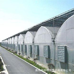 连栋温室花卉大棚花卉育苗连栋大棚温室工程大棚骨架