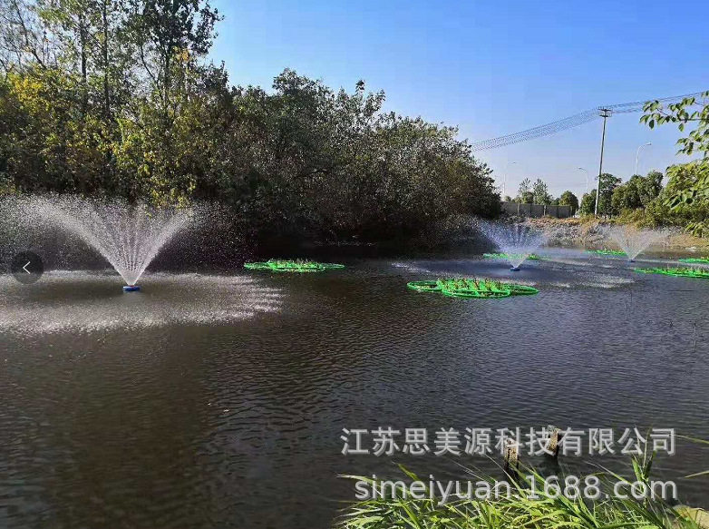 人工浮岛水生植物河道绿化