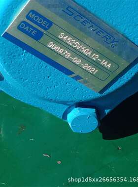 SCENERY塞纳瑞油泵S4525V50A12-1AAS25V21A-1CS2520V21VQ11-1AC