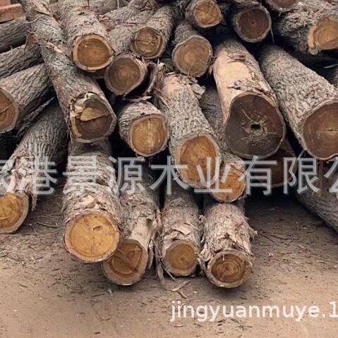澳洲黑酸枝原木实木红酸枝木料澳洲黑酸枝加工家具工艺品