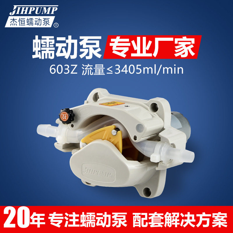 杰恒603Z软管蠕动泵计量泵微型蠕动泵定量蠕动泵泵头直流24V水泵