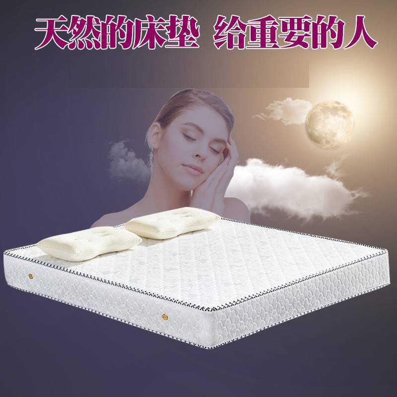 弹簧沙发棕床垫1.5米1.8m双人床垫单软硬两用弹簧床弹簧床垫护脊图片