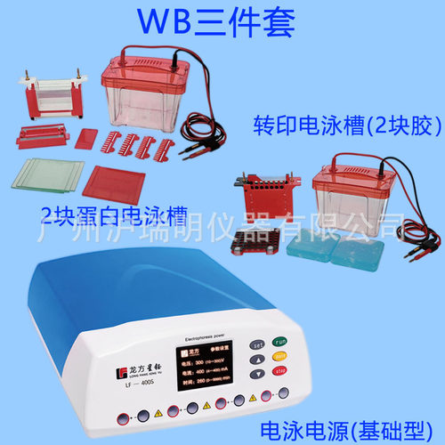 WB实验电泳槽三件套LF-400S+Mini2+ZY03转印电源基础型套装