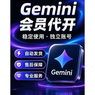 Gemini开通协助 AI订阅代付 使用指导 一对一支持 稳定使用