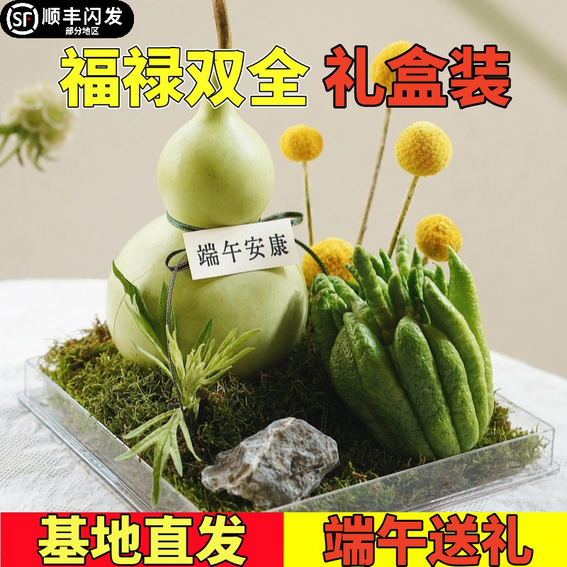 【福禄双全】佛手柑翠青葫芦礼盒装端午送礼新鲜佛手瓜室内摆件